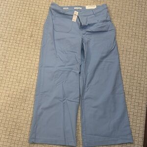 LOFT Sky Blue Wide-Leg Trousers